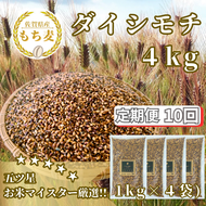 CIB46_【１０回定期便】ダイシモチ４ｋｇ もち麦 キラリ もち麦ごはん