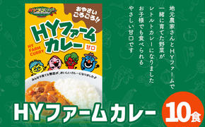 うるマルシェ ＨＹファームカレー １０個セット