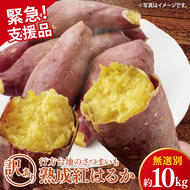 [緊急支援品]★訳あり★ 無選別 行方台地のさつまいも 熟成紅はるか 約10kg(洗い)|さつまいも 芋 サツマイモ 紅はるか 数量限定 訳あり わけあり 無選別 熟成 茨城県 行方市(CU-326-1)