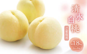 桃 2025年 数量限定 白桃 清水白桃 約1.8kg 6〜8玉 ご家庭用 フルーツ 果物 岡山 赤磐市産