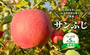 今日を癒すひと玉 私のサンふじ サンふじ 家庭用 5kg りんご 果物