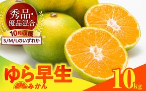 MK1054_【2025年先行予約】ゆら早生 みかん 箱込 10kg ( 内容量 9.2kg ) S M Lサイズのいずれか 秀品 優品 混合 有田みかん 和歌山県産