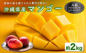 ハナトフルーツ 沖縄県産マンゴーA品 ２ｋｇ 【2025年発送】