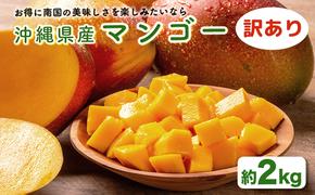 ハナトフルーツ 沖縄県産 訳ありマンゴー２ｋｇ 【2025年発送】