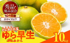 MK1058_【2025年先行予約】ゆら早生 みかん とにかく小玉 箱込 10kg ( 内容量9.2kg ) 2Sサイズ以下 秀優混合 有田みかん 和歌山県産