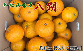 【手選果　訳あり】和歌山由良町産八朔約10kg(サイズ混合・ご家庭用) ※2026年1月中旬～2月下旬頃に順次発送予定
