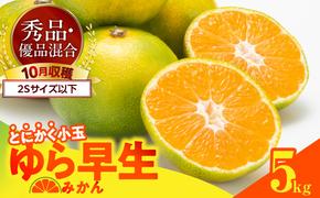 MK1060_【2025年先行予約】ゆら早生 みかん とにかく小玉 箱込 5kg ( 内容量4.4kg ) 2Sサイズ以下 秀優混合 有田みかん 和歌山県産