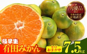 MK1071_【2025年先行予約】みかん 極早生 箱込 7.5kg ( 内容量6.8kg ) おまかせサイズ（S/M/L）秀品・優品 の混合 有田みかん 和歌山県産