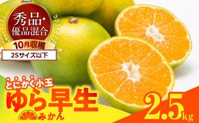 MK1061_【2025年先行予約】ゆら早生 みかん とにかく小玉 箱込 2.5kg ( 内容量2.3kg ) 2Sサイズ以下 秀優混合 有田みかん 和歌山県産