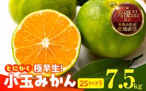 MK1075_【2025年先行予約】とにかく小玉 みかん 極早生 箱込 7.5kg ( 内容量 6.8kg ) 2Sサイズ以下 秀品 優品 混合 有田みかん 和歌山県産