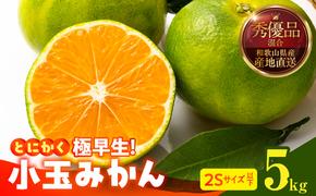 MK1076_【2025年先行予約】とにかく小玉 みかん 極早生 箱込 5kg ( 内容量 4.4kg ) 2Sサイズ以下 秀品 優品 混合 有田みかん 和歌山県産