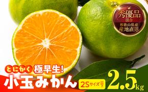 MK1077_【2025年先行予約】とにかく小玉 みかん 極早生 箱込 2.5kg ( 内容量 2.3kg ) 2Sサイズ以下 秀品 優品 混合 有田みかん 和歌山県産