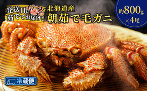 ［冷蔵便］茹でたて直送！北海道産 朝茹で毛ガニ 約800g×4尾【 かに カニ 蟹 幕別町 北海道 毛蟹 毛ガニ 海鮮 魚介 海の幸 海産物 冷蔵 】