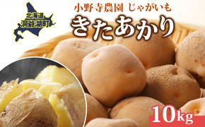 じゃがいも きたあかり 10kg 10月初旬～12月中旬お届け 栗じゃがいも ホクホク 甘い ポテトサラダ コロッケ 産地直送 お取り寄せ 国産 小野寺農園 北海道 洞爺湖町