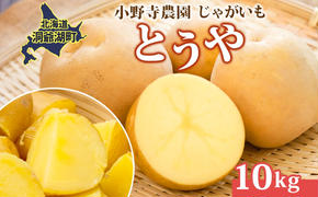 じゃがいも とうや 10kg 10月初旬～12月中旬ごろお届け ホクホク 甘い ポテトサラダ コロッケ 産地直送 お取り寄せ 国産 小野寺農園 北海道 洞爺湖町