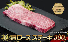 ステーキ 奈義和牛 肩 ロースステーキ 300g 肉 お肉 牛肉 牛 和牛 岡山 国産