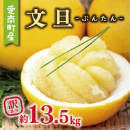 訳あり 文旦 13.5kg 10000円 ぶんたん みかん mikan 蜜柑 ミカン わけあり 家庭用 産地直送 国産 農家直送 糖度 期間限定 数量限定 特産品 ゼリー ジュース アイス 人気 限定 甘い 果実 果肉 フルーツ 果物 柑橘 ビタミン 健康 美味しい おいしい ジューシー 小玉 含む サイズ ミックス 規格外 傷み補償 500g ミッチーのおみかん畑 愛南町 愛媛県