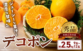 BD7008_【2026年先行予約】和歌山有田産 デコポン秀品のみ！ 2.5kg（9～12玉）