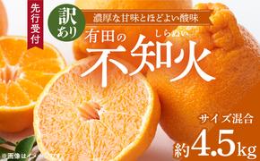 ZD92070_【2026年先行予約】【濃厚】有田の不知火 (デコポン) 【訳あり 家庭用】 4.5kg (サイズ混合)