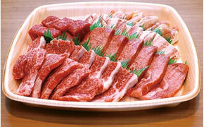 肉の横綱　伊賀牛　バーベキューセット1　800g(赤身、カルビ、サイコロ、厚切り牛タン、鶏モモ、豚カルビ)/冷凍発送　産直　自家牧場　焼肉　奥田　オクダ
