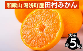 和歌山 湯浅町産 田村みかん 5kg【大玉】 ※2025年11月中旬～2026年1月中旬頃に順次発送予定