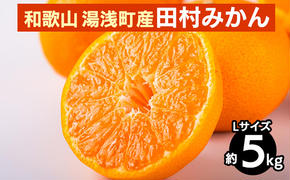 和歌山 湯浅町産 田村みかん 5kg【Lサイズ】 ※2025年11月中旬～2026年1月中旬頃に順次発送予定
