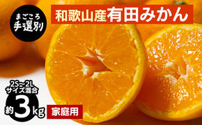 【まごころ手選別】和歌山産 有田みかん 3kg 家庭用(2S～2Lサイズ混合) ※2025年11月上旬～2026年1月下旬頃に順次発送予定
