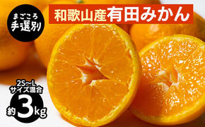 【まごころ手選別】和歌山産 有田みかん 3kg 1箱 (2S～Lサイズ混合) ※2025年11月上旬～2026年1月下旬頃に順次発送予定