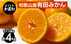 【まごころ手選別】和歌山産 有田みかん 4kg (2S～Lサイズ混合) ※2025年11月上旬～2026年1月下旬頃に順次発送予定