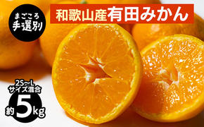 【まごころ手選別】和歌山産 有田みかん 5kg (2S～Lサイズ混合) ※2025年11月上旬～2026年1月下旬頃に順次発送予定