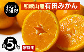 【まごころ手選別】和歌山産 有田みかん 5kg 家庭用 ※2025年11月上旬～2026年1月下旬頃に順次発送予定