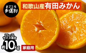 【まごころ手選別】和歌山産 有田みかん 10kg 家庭用(2S～2Lサイズ混合) ※2025年11月上旬～2026年1月下旬頃に順次発送予定