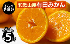 【まごころ手選別】和歌山の有田みかん 5kg (2S・Sサイズ混合) ※2025年11月上旬～2026年1月下旬頃に順次発送予定