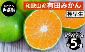 【まごころ手選別】和歌山産 有田みかん(極早生) 5kg (S～Lサイズ)【サイズおまかせ】 ※2025年10月上旬～11月中旬頃に順次発送予定