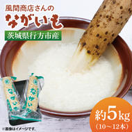 風間商店さんのながいも 約5kg(10～12本)｜ながいも いも 芋 長芋 野菜 やさい 人気 美容 健康 腸活 味噌汁 天ぷら 茨城県 行方市 行方市産(HO-2)