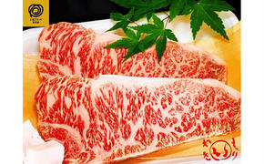 伊賀牛ロースステーキ(500g)・すき焼き(600g)セット