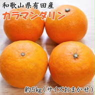 【春みかん】和歌山有田産カラマンダリン約5kg(サイズおまかせ) ※2026年4月上旬～5月中旬頃に順次発送予定