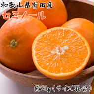 【濃厚オレンジ】和歌山有田産セミノール約3kg（サイズ混合 秀品） ※2026年4月中旬～5月上旬頃に順次発送予定
