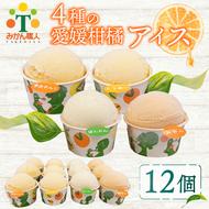 柑橘アイス カップ 12個 (4種 各3個入り) 【夢おれんじ 河内晩柑 愛媛みかん しらぬい 】 アイス ジェラート シャーベット ソルベ アイスクリーム ランキング 人気 贈答用 プレゼント 訳あり ワケアリ 家庭用 みかん 柑橘 かんきつ まどんな 愛果28号 愛南ゴールド 不知火 デコポン ぽんかん 冷凍 冷凍みかん 冬 夏 みかん職人武田屋 愛媛県 愛南町