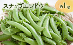 【先行予約】 《収穫次第順次発送》  富良野市産 スナップえんどう 1kg 野菜 旬 新鮮 富良野 エンドウ 豆 スナックエンドウ スナップ えんどう豆 ふらの 畠山農園