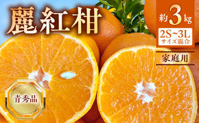 BF6063_（2026年先行受付）麗紅柑 (れいこう) 青秀品 (家庭用) 2S～3Lサイズ 3kg 和歌山有田産