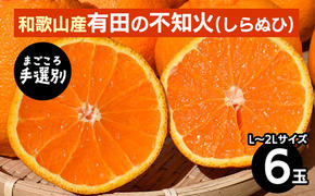 【まごころ手選別】和歌山産　有田の不知火(しらぬひ)(6玉×1箱、L～2Lサイズ) ※2026年2月上旬～4月下旬頃に順次発送予定