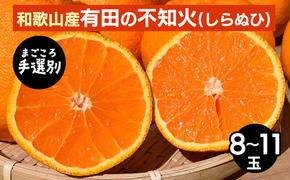 【まごころ手選別】和歌山産　有田の不知火(しらぬひ)8～11玉 ※2026年2月上旬～4月下旬頃に順次発送予定