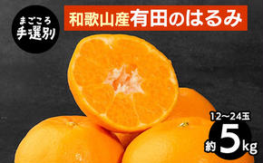 【まごころ手選別】和歌山産　有田のはるみ　約5kg　12玉～24玉 ※2026年1月中旬～2月下旬頃に順次発送予定