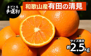【まごころ手選別】和歌山産　有田の清見　約2.5kg(サイズ混合) ※2026年3月上旬～4月下旬頃に順次発送予定