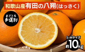 【まごころ手選別】有田のはっさく【八朔】約10kg　S～Mサイズ ※2026年1月上旬～3月下旬頃に順次発送予定