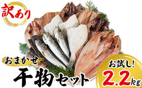 【2025年6月下旬発送】訳あり 干物 詰め合わせセット 2.2kg 真ホッケ 縞ホッケ サバ イワシ 北海道