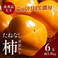 先行受付　柿(種無し)　赤秀品大玉　6個入　約1.8kg ※2025年9月下旬～10月下旬頃に順次発送予定 ※離島への配送不可