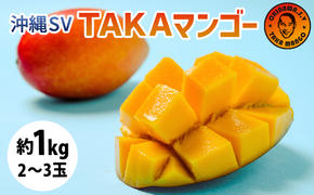 沖縄SV TAKAマンゴー