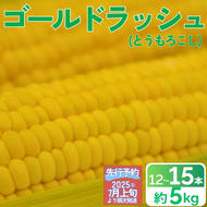 [先行予約] とうもろこし 甘い スイートコーン ゴールドラッシュ 約 5kg 12000円 12 本 〜 15 本 L 〜 2L サイズ [2025年7月上旬から出荷] トウモロコシ コーン 冷蔵 クール便 産地直送 国産 農家直送 期間限定 数量限定 冷蔵 人気 贈答 プレゼント ギフト 土産 お取り寄せ ギフト お中元 愛媛県 愛南町 愛なんよ